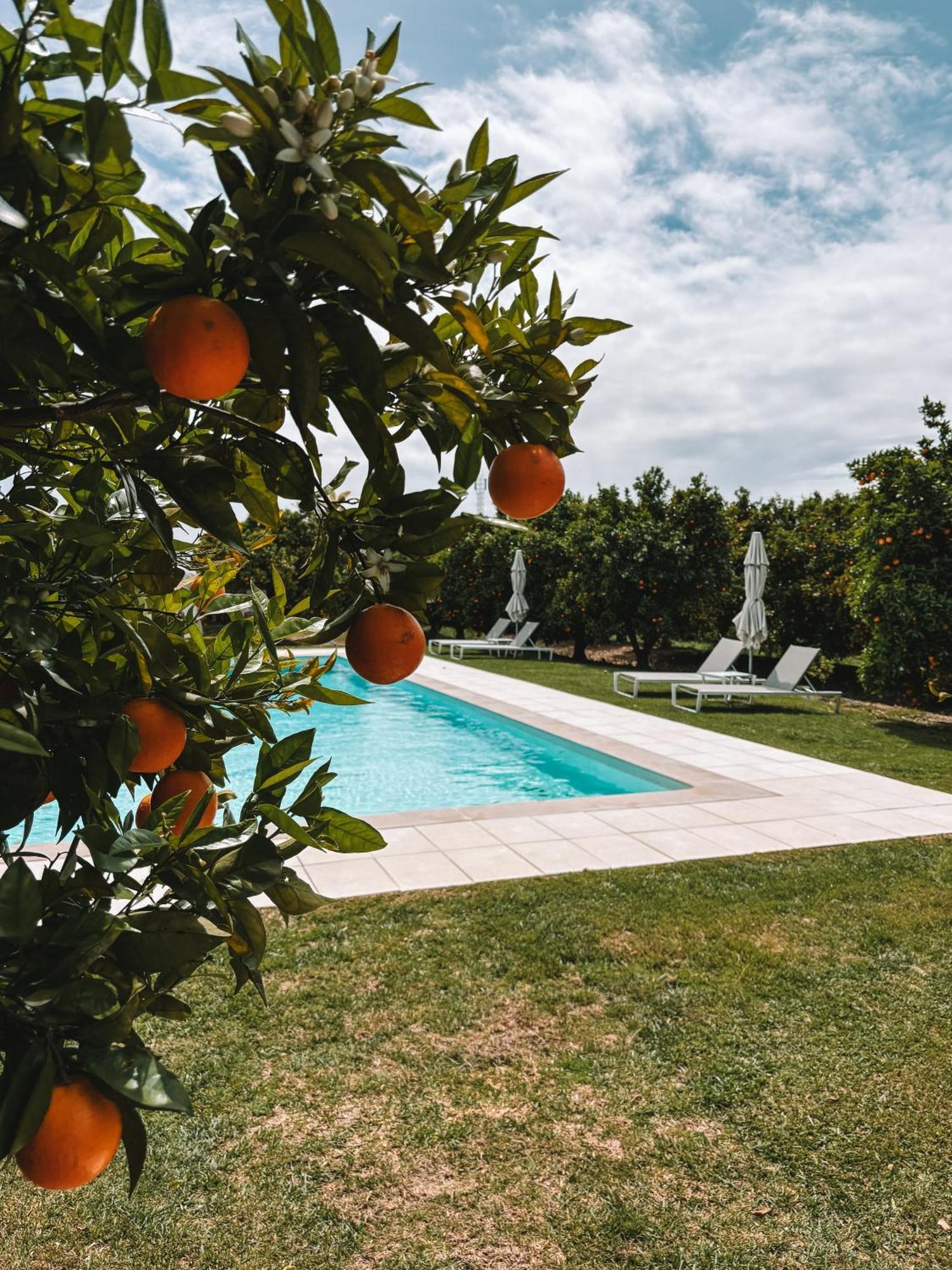 Villa Quinta Dos Perfumes Tavira Esterno foto